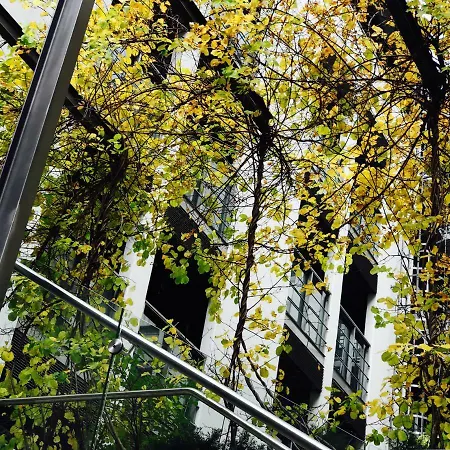 00100 Vuorikatu 40,5 M2 公寓 赫尔辛基