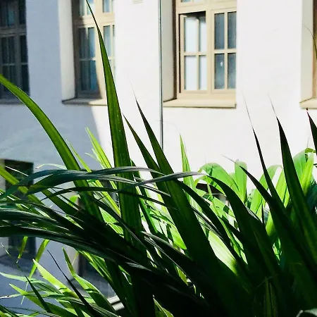 00100 Vuorikatu 40,5 M2 赫尔辛基