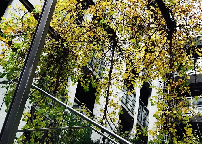 00100 Vuorikatu 40,5 M2 شقة هلسنكي